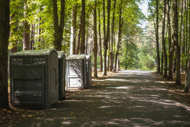 Trusted Hayden, CO porta potty rental Experts